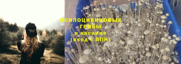 соль ск Краснослободск
