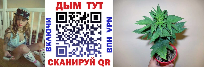 Купить где  Приморско-Ахтарск  Каннабис план 